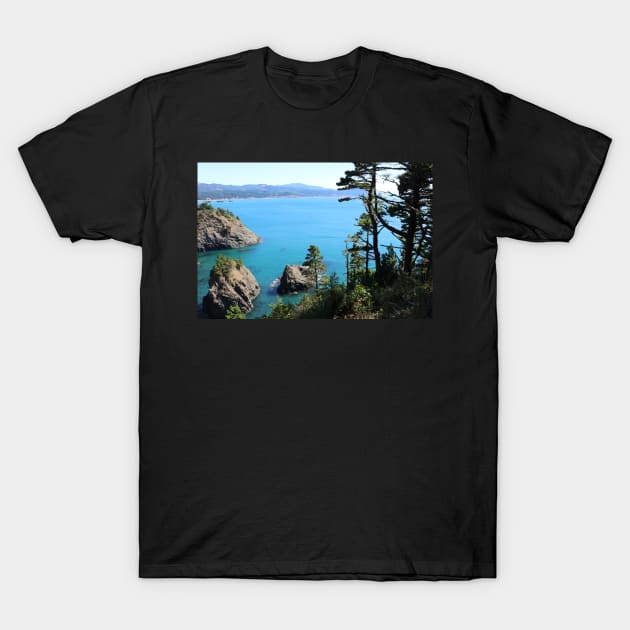 Port Orford, Oregon. T-Shirt by somekindofguru